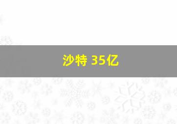 沙特 35亿